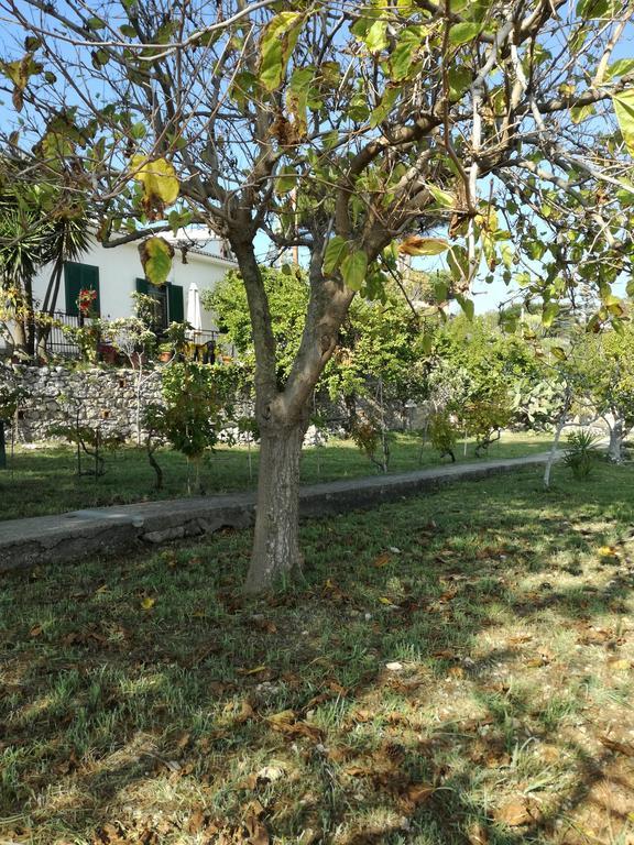 Villa Ninetta-Isabella Gaeta Kültér fotó